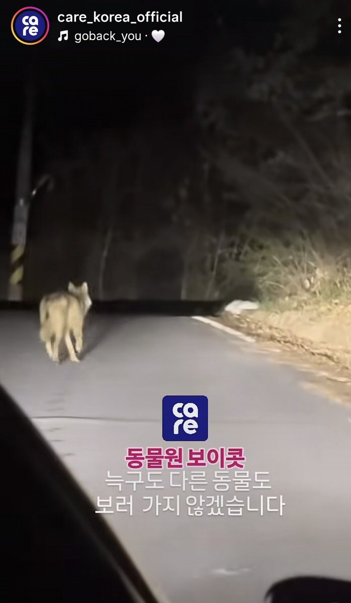 🎗맘씨좋은 🐈김마중씨&🐕 정새별씨 tweet media