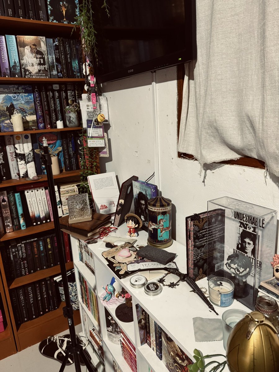 bella fazzati 🌷 • 📖: o dilúvio de ophelia tweet media