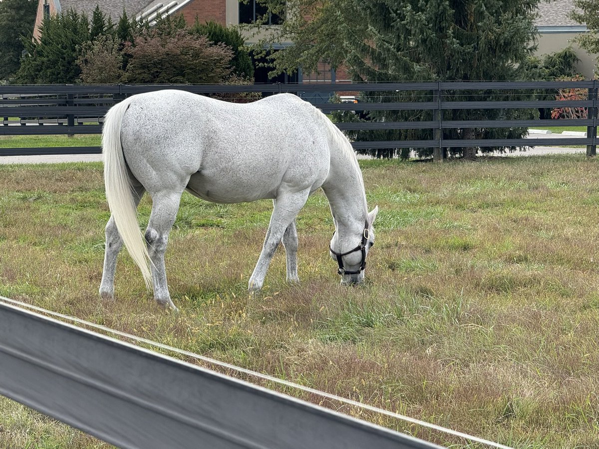 Lee Serravillo tweet media