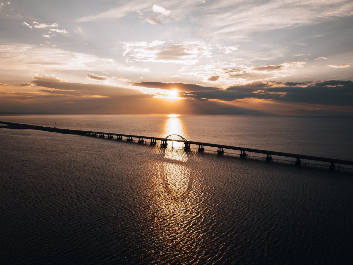 majid zahedi tweet media