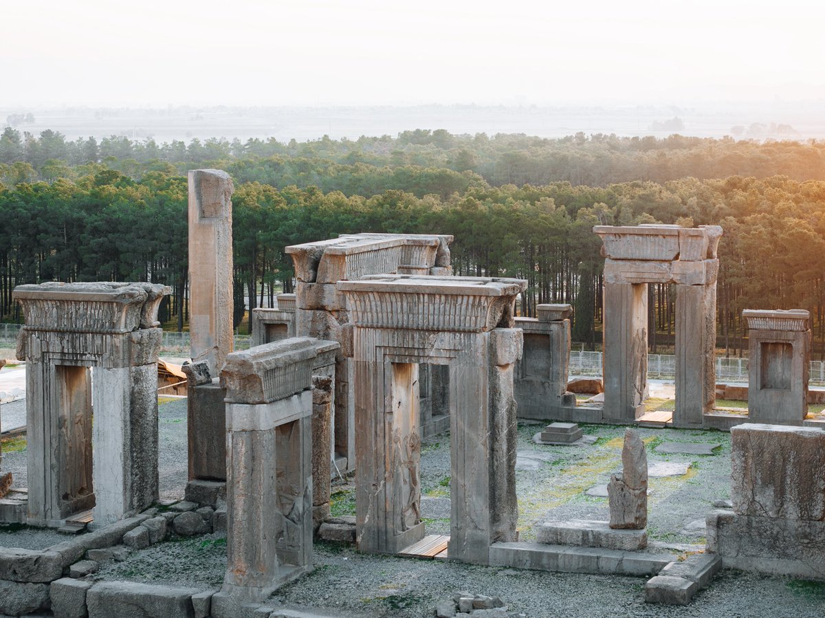 majid zahedi tweet media