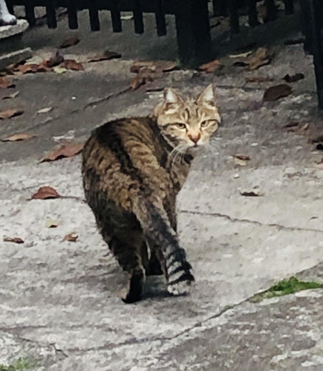夜勤上がり。
初めて会う子に「おかえり」言われました◎