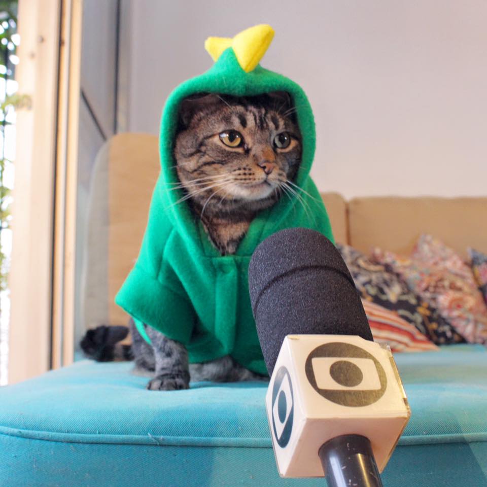 Portal Renault 🧙🏼‍♂️ tweet media