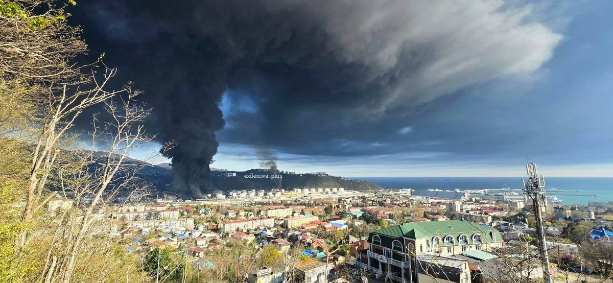 Canadian Prepper tweet media