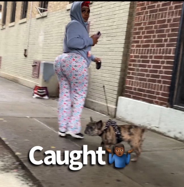 Selenagotudumppin tweet media