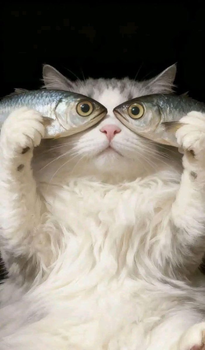 "La regla suprema de la vida es 
  que no hay que abandonarse, 
      ni siquiera cuando se esta 
                totalmente solo".

          ~Friedrich Nietzsche