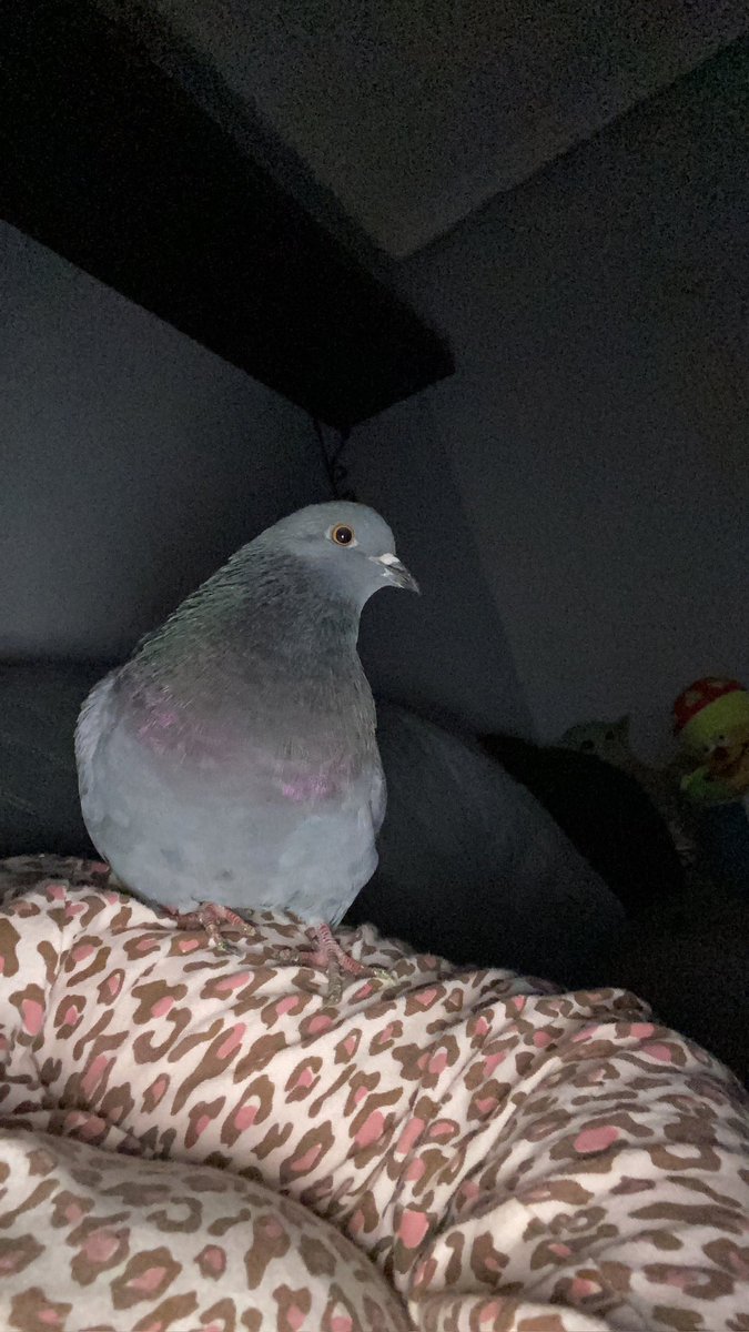 Ester🌙 tweet media
