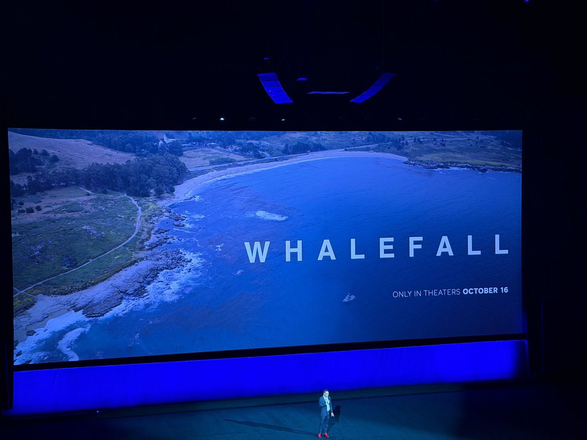 The Daily Imagine tweet media