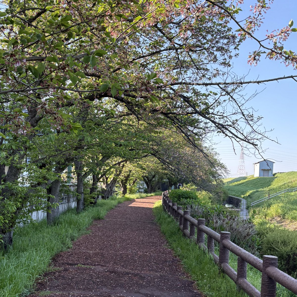 Takeching (しらいし たけし)@作曲クリエイター/ギタリスト tweet media