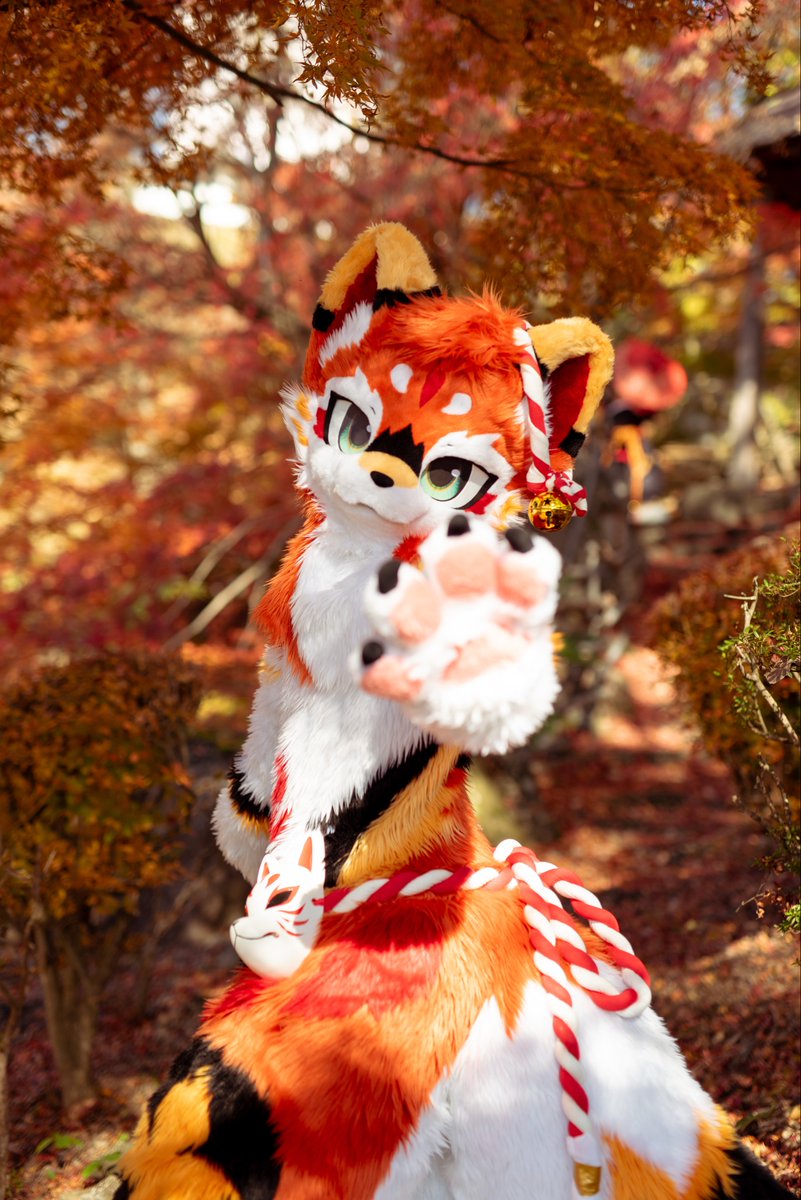 ボクのそばにいて…
#FursuitFriday
#furmony
#鸿萌造物