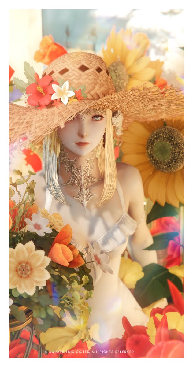 ステラノア tweet media