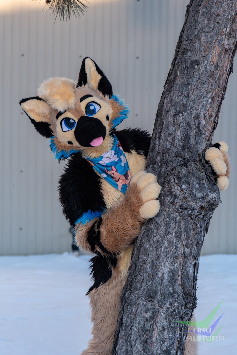 ranger 🐶 tweet media