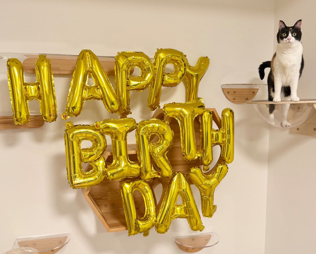 佐久間大介 tweet media