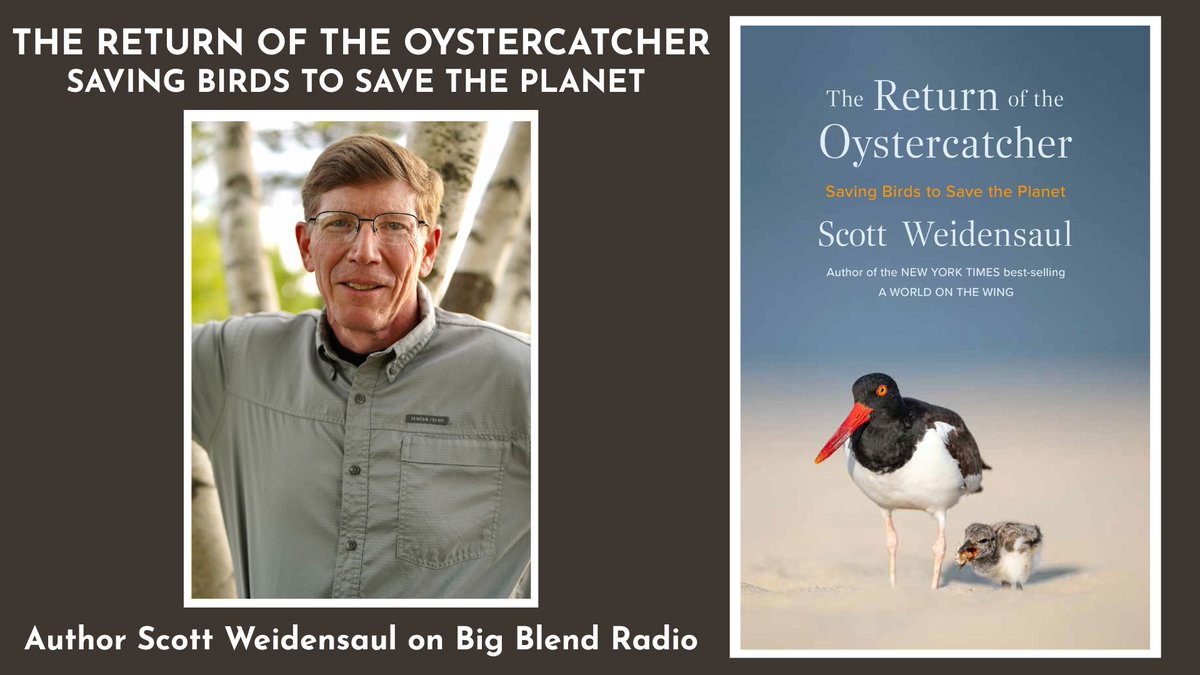 Big Blend Radio & Magazines tweet media