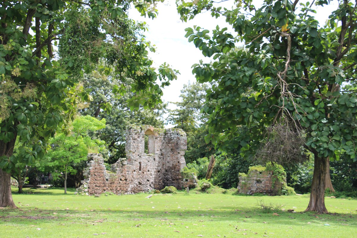 Sitio Arqueológico Panamá Viejo tweet media