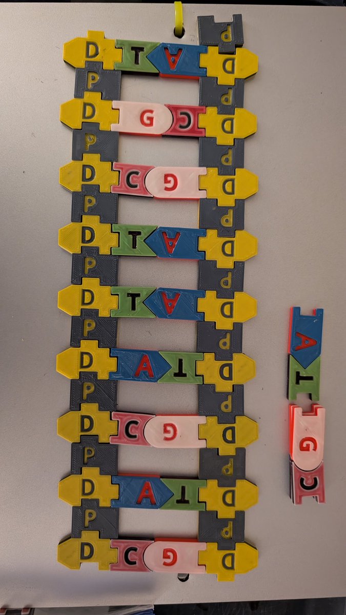 3DFidgets's tweet image. @rmrrf loads up tomorrow! I'll have a @lulzbot3D Taz 5 for sale along w #3dprinted magnets &amp;amp; fidgets. Stop by our table for #DNA tiles for #STEM ed.