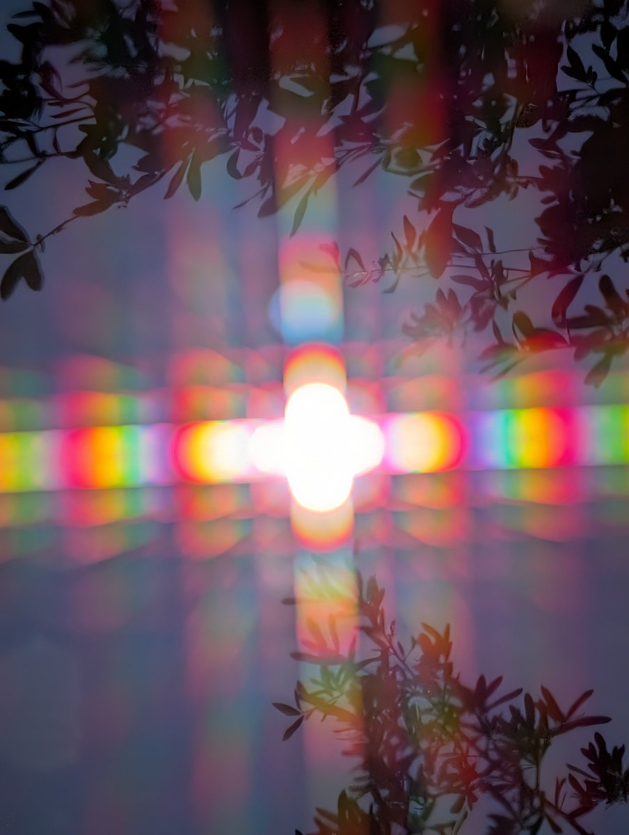 🐑 Priya 🦁 tweet media