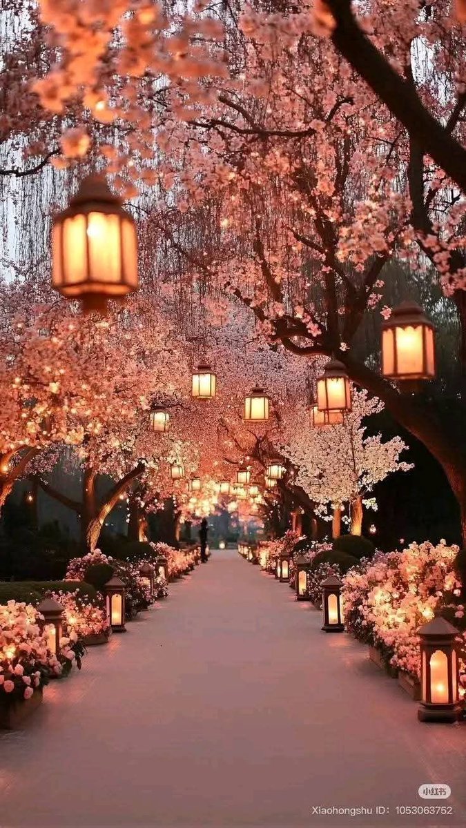 𝐏ʀɪɴᴄᴇss ☽ 𝐒ᴇʀᴇɴɪᴛʏ ✫.•*•*. tweet media