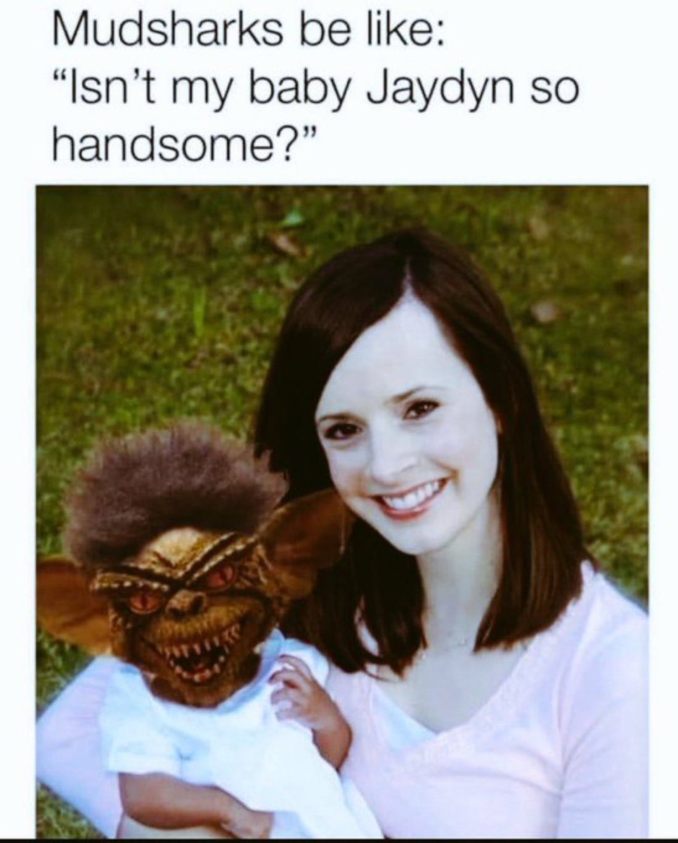 Big Chief tweet media