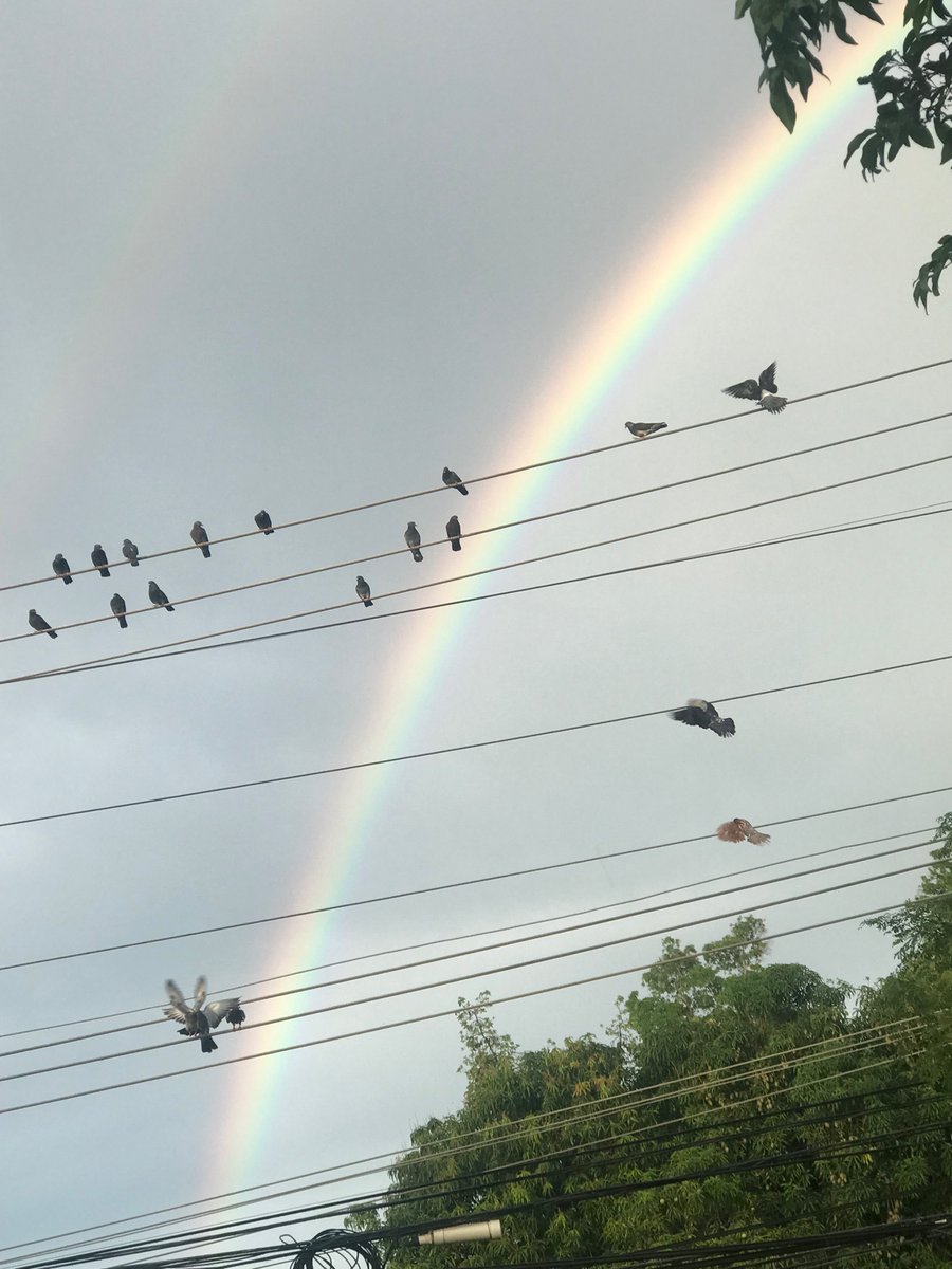 NayimPelaez's tweet image. 🌈✨Monday pics✨🌈

#Photography #rainbows