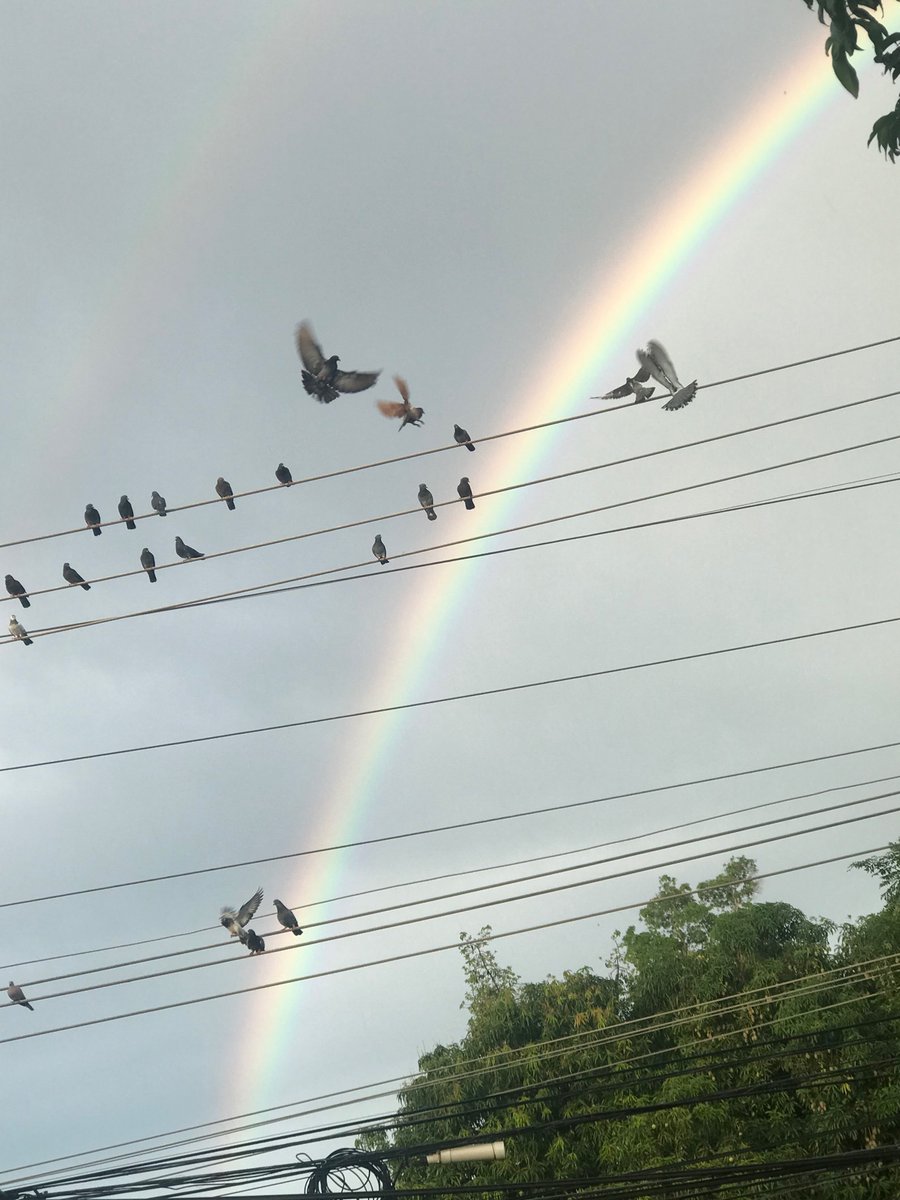 NayimPelaez's tweet image. 🌈✨Monday pics✨🌈

#Photography #rainbows
