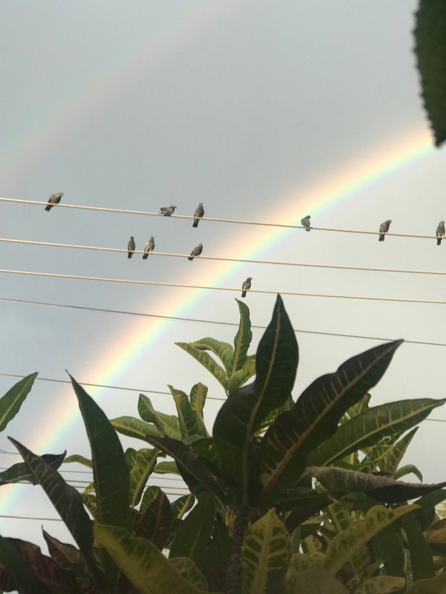 NayimPelaez's tweet image. 🌈✨Monday pics✨🌈

#Photography #rainbows