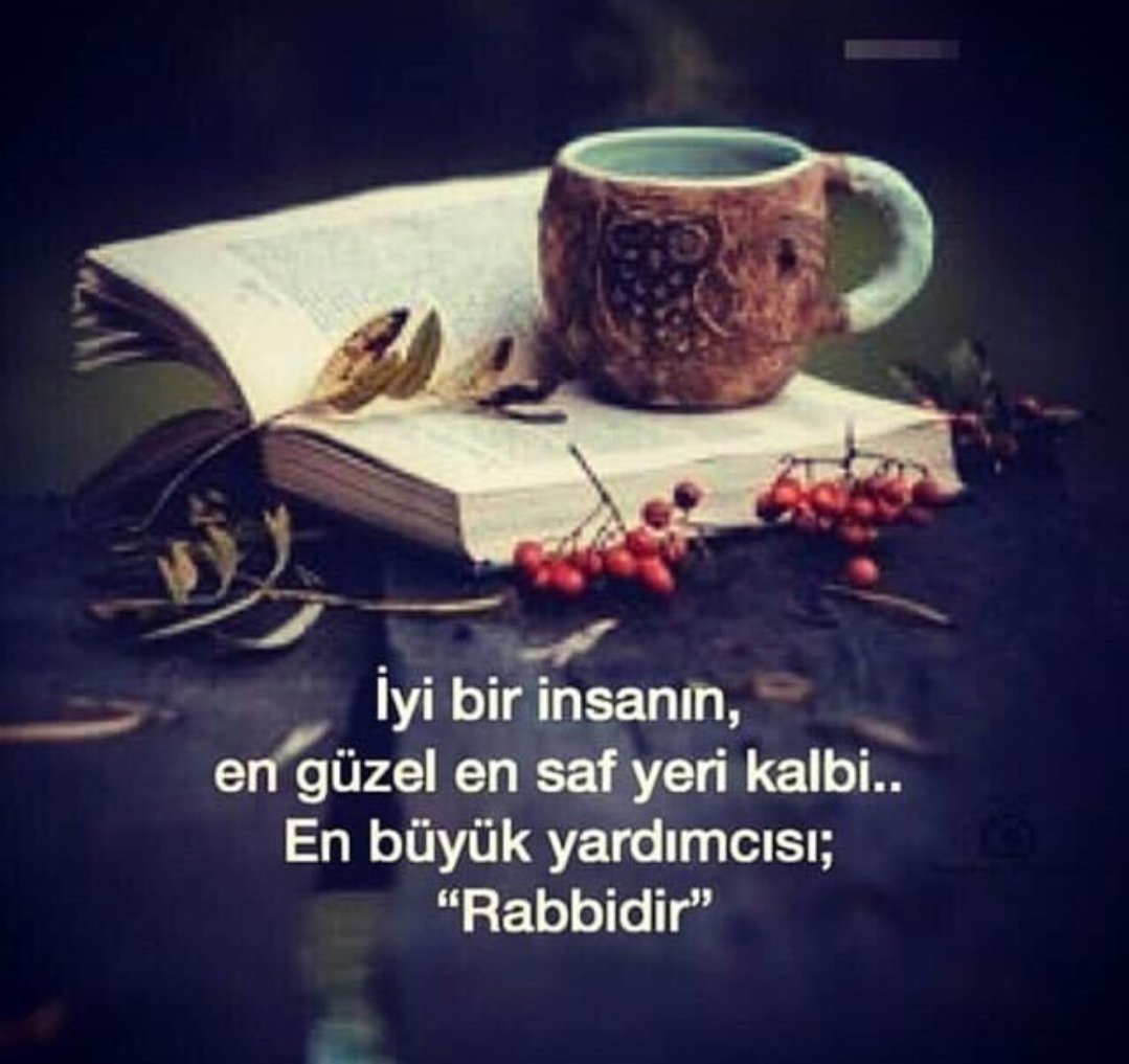 fatih.toz tweet media