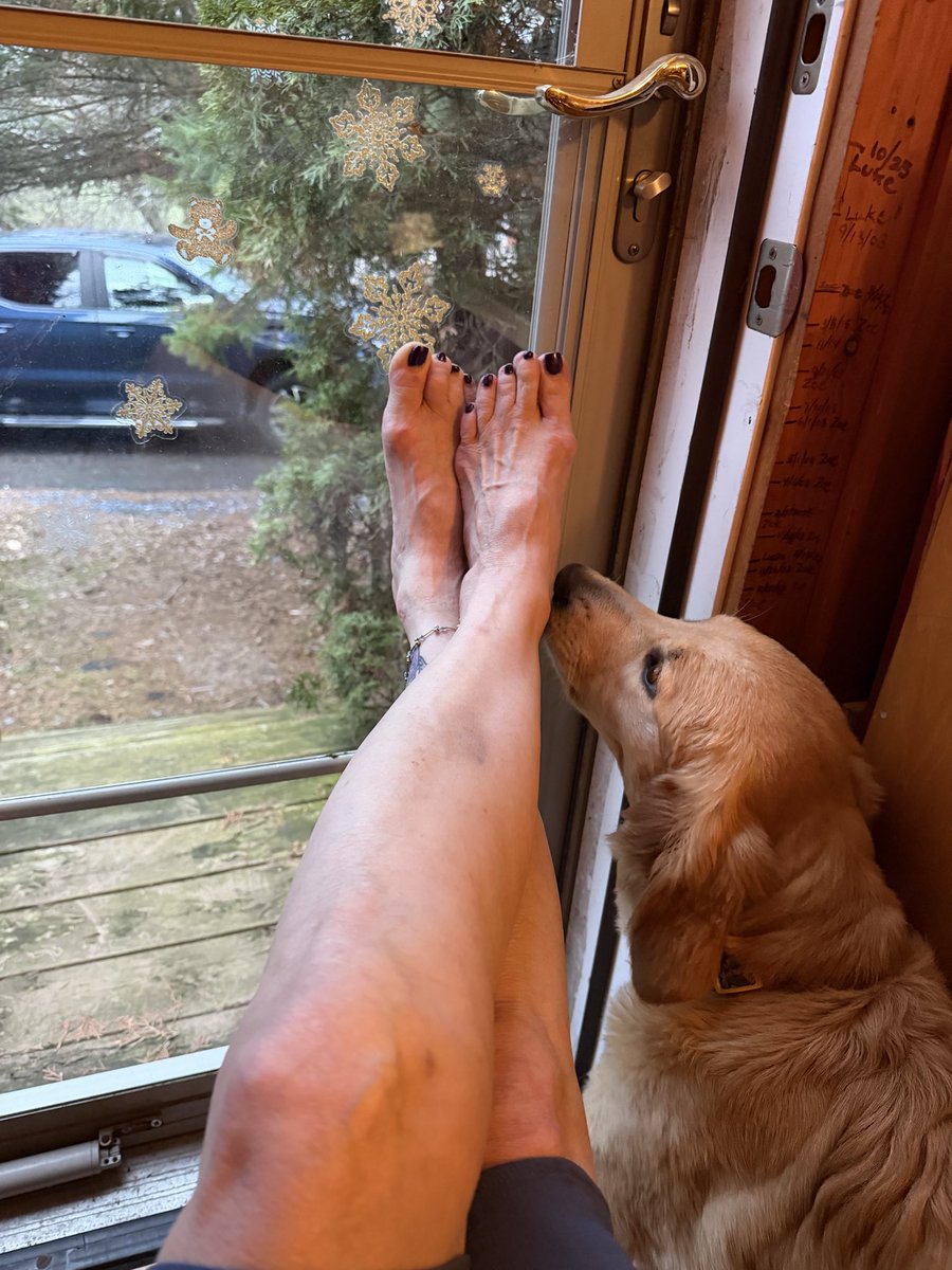 Lu`°•.♥.•♪♫ ღ¸♪• tweet media