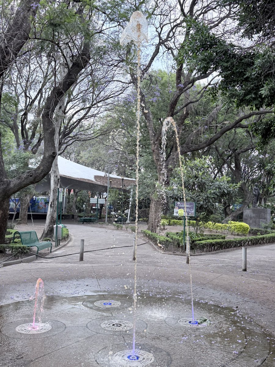 Ismael Espinosa 🍉 tweet media