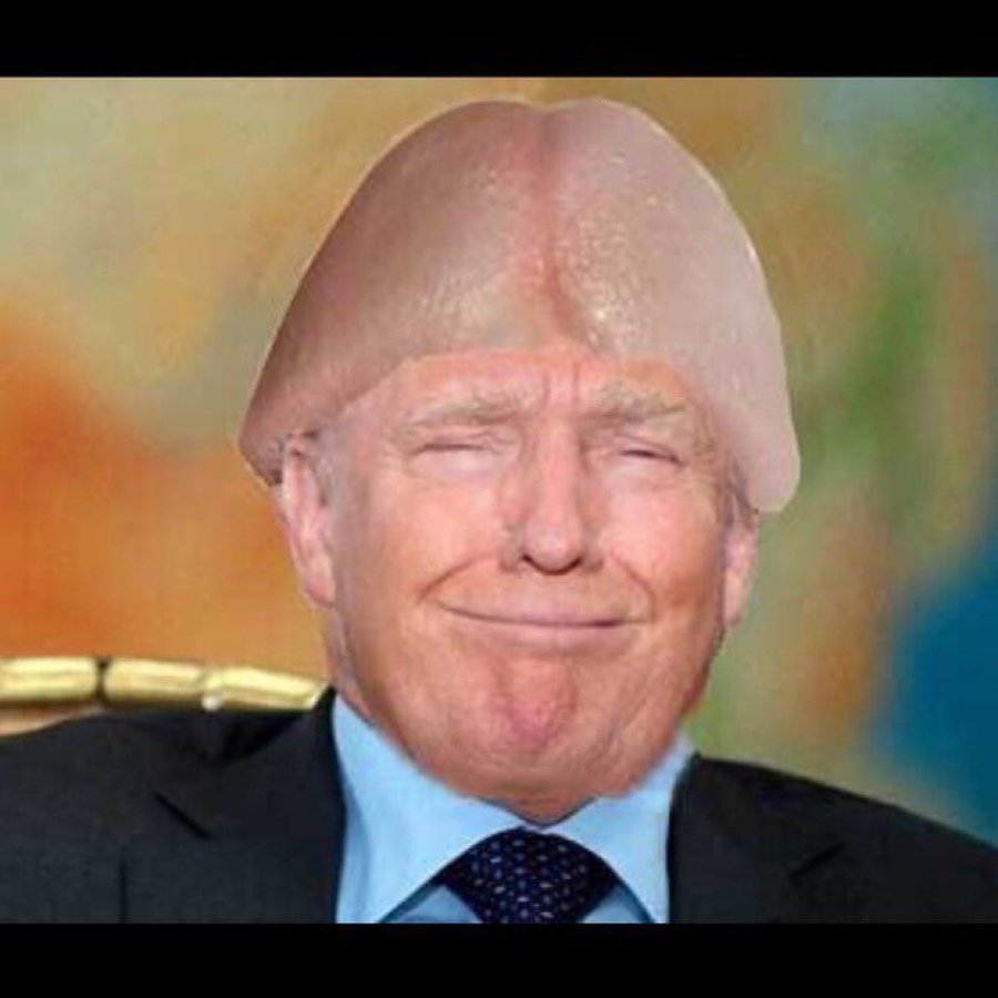 Kat Holiday tweet media