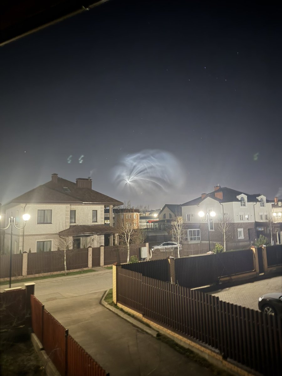 Никитосик мамин пёсик tweet media