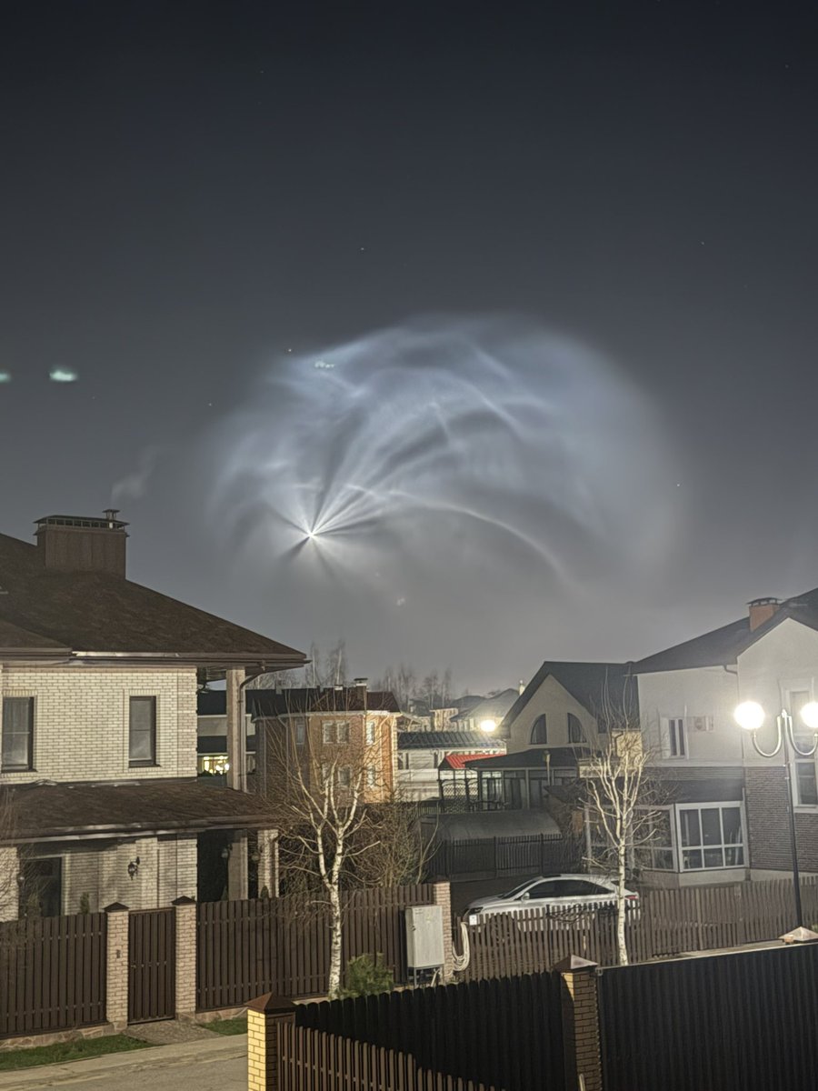 Никитосик мамин пёсик tweet media