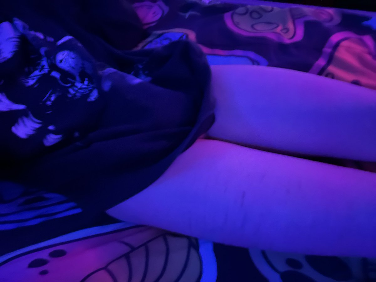 ℜ𝔢𝔫𝔧𝔦𝔬🐾 tweet media