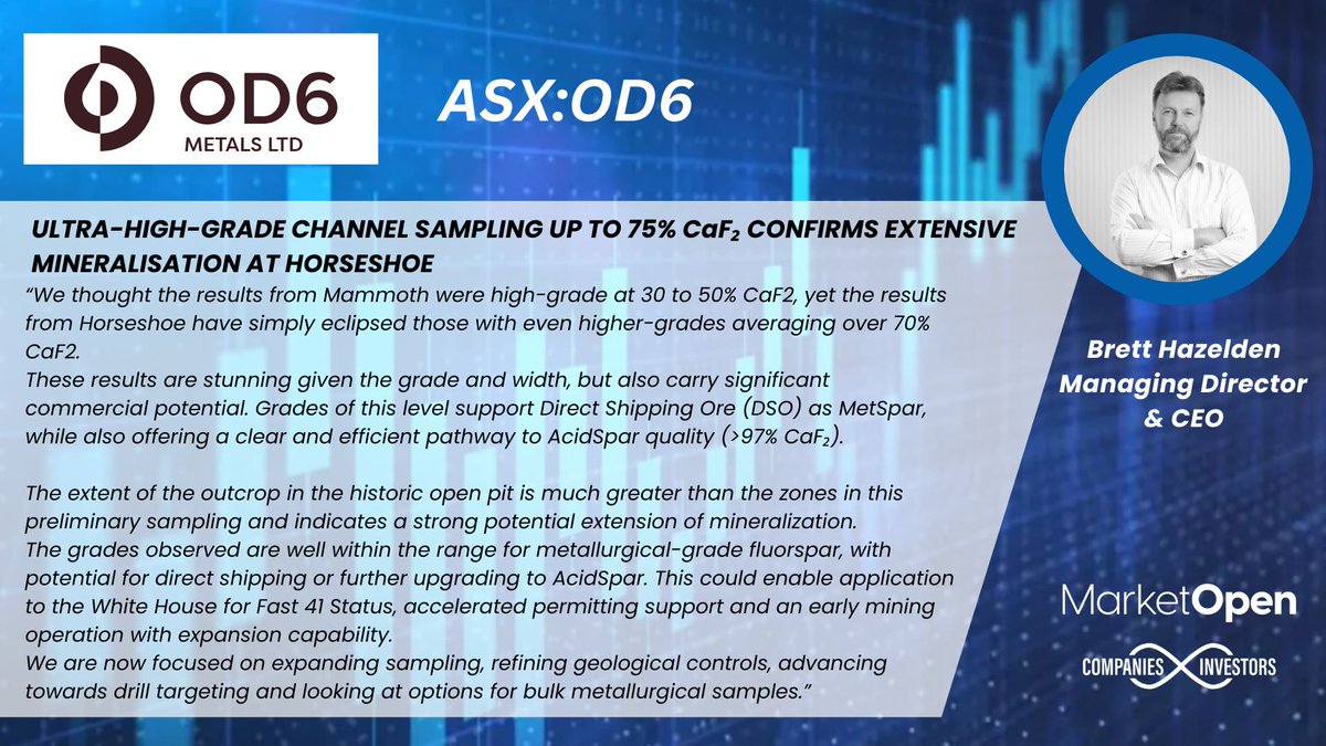 MarketOpenAUS's tweet image. OD6 Metals celebrates exceptional fluorspar grades at Horseshoe Prospect, reaching up to 79.9% CaF₂ in initial channel sampling. Exciting steps ahead as the company targets further exploration and growth. 

@Od6Metals @Stew_Walters 

#Fluorspar #CriticalMinerals #Mining #ASXOD6