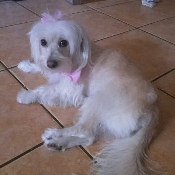 eugene harris™ 👟👟 tweet media