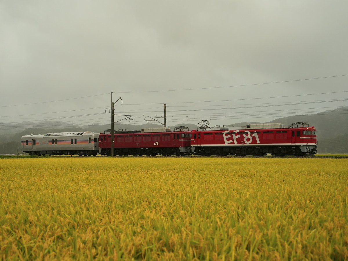 リバティ常磐 tweet media