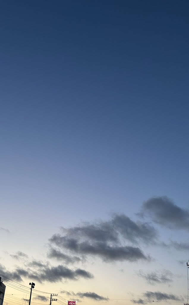 おはようございます🦩