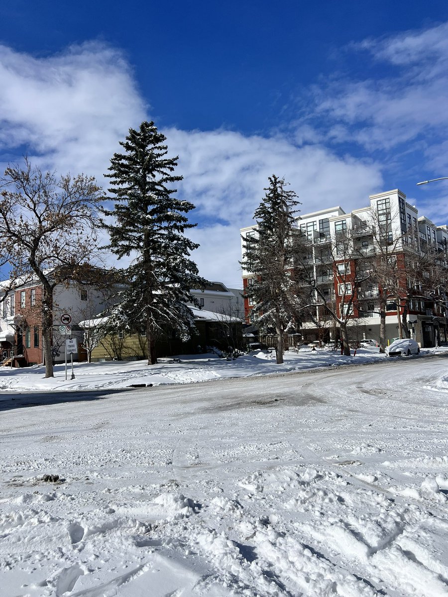 angelene tweet media