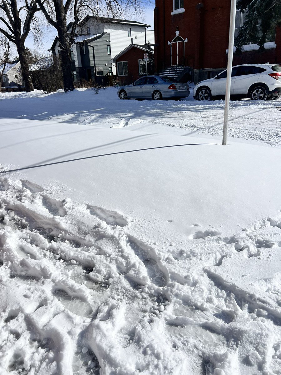 angelene tweet media