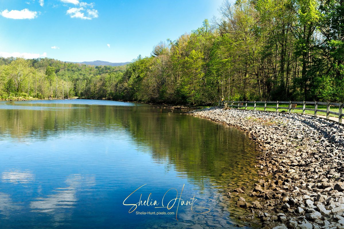 shelia_hunt's tweet image. Peaceful afternoon on the South Holston River... Now available on Fine Art America 👉 shelia-hunt.pixels.com/featured/south… 

#SheliaHuntPhotography #BuyIntoArt #Tennessee #TennesseeRiver #SouthHolston #SouthHolstonRiver #SouthHolstonLake #LandscapeArt #HomeDecor #NatureLovers #SheliaHunt