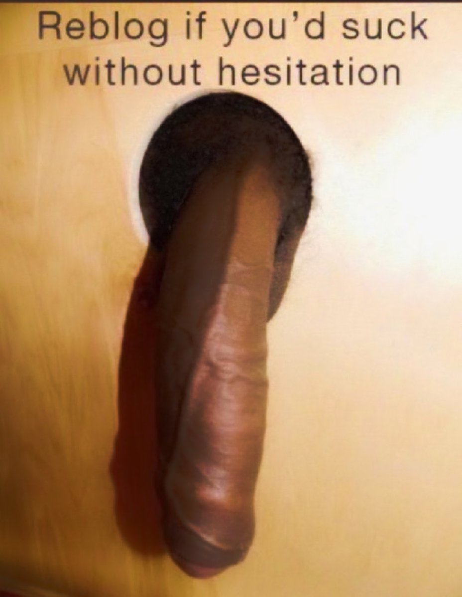 Gay Sub University🍆 tweet media