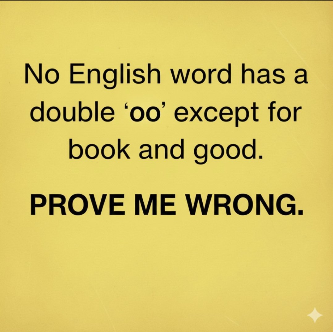 Serenity speaks 🇱🇷 tweet media