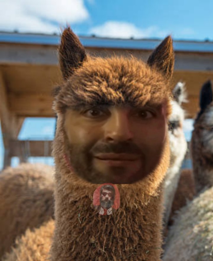 Adoptó a Simón 😲😱🤯