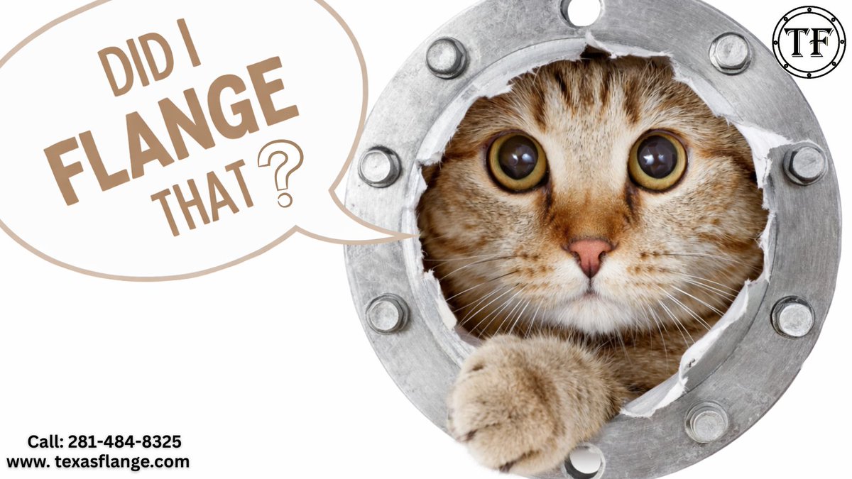TexasFlange's tweet image. Did I flange that right… or are we about to find out the hard way? 😅
When precision matters, guessing isn’t part of the plan.
Texas Flange — we make sure it fits the first time.#TexasFlange #CatMemes #PrecisionMatters #FunnyEngineering