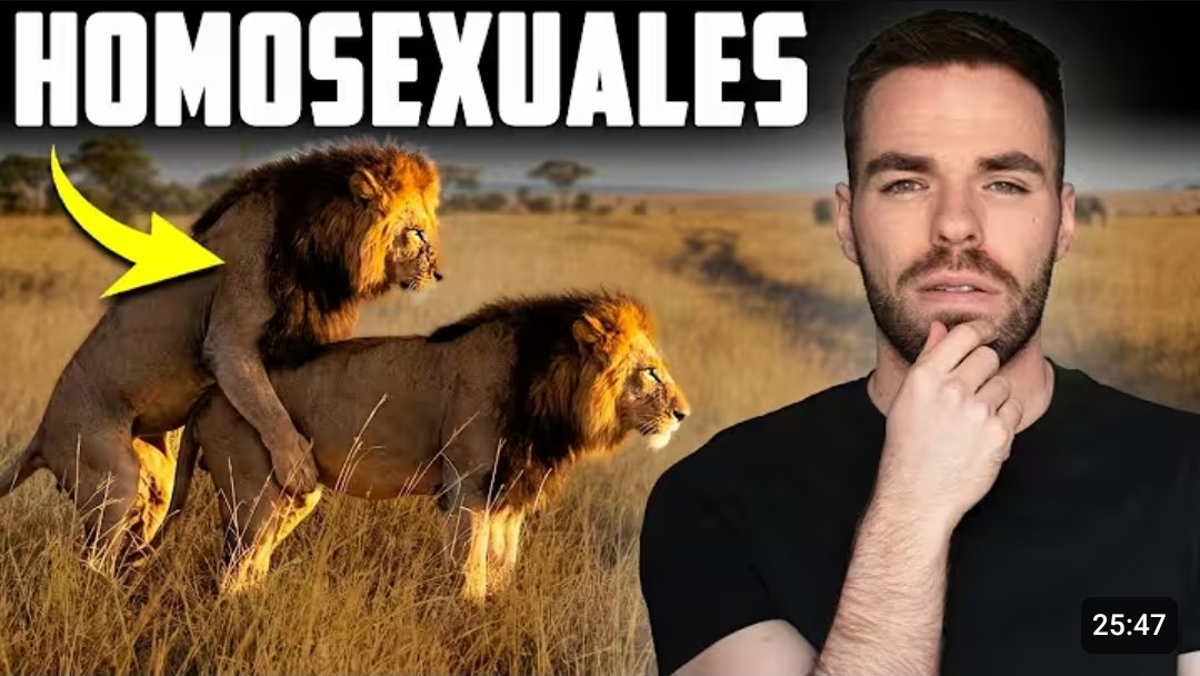 sodiox_'s tweet photo. parece meme https://t.co/JnkVefb0lY