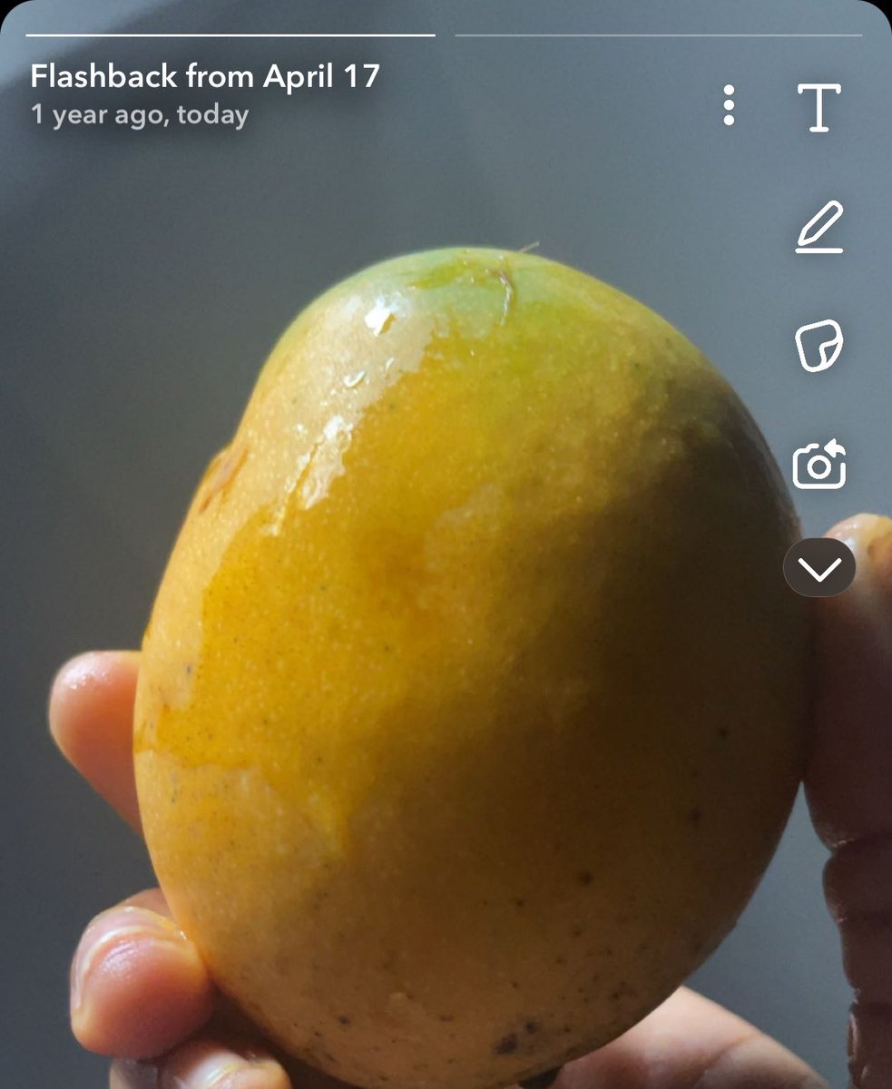 Prithee_p's tweet image. You’re always in my heart. 

On low days, you fill my thoughts. On happy days, you’re the reason♥️. I reminisce how you brought me to true elation. My teeth in your skin😻, tongue on your core😊 and the juiciness filling my mouth🤭. 

Oh! I’ll cherish those memories. #mango