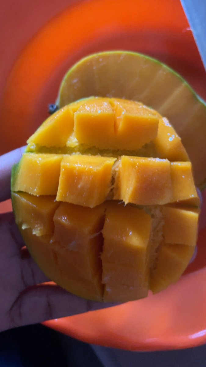 Prithee_p's tweet image. You’re always in my heart. 

On low days, you fill my thoughts. On happy days, you’re the reason♥️. I reminisce how you brought me to true elation. My teeth in your skin😻, tongue on your core😊 and the juiciness filling my mouth🤭. 

Oh! I’ll cherish those memories. #mango