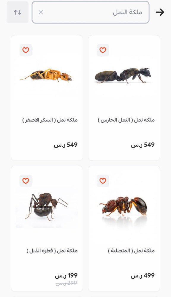 عزيز تقني tweet media