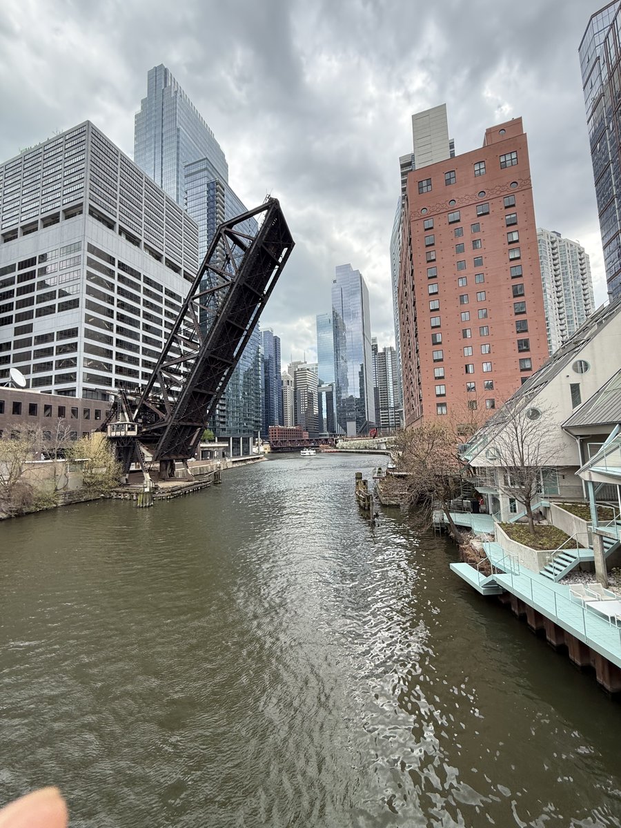 Steve Berlin tweet media