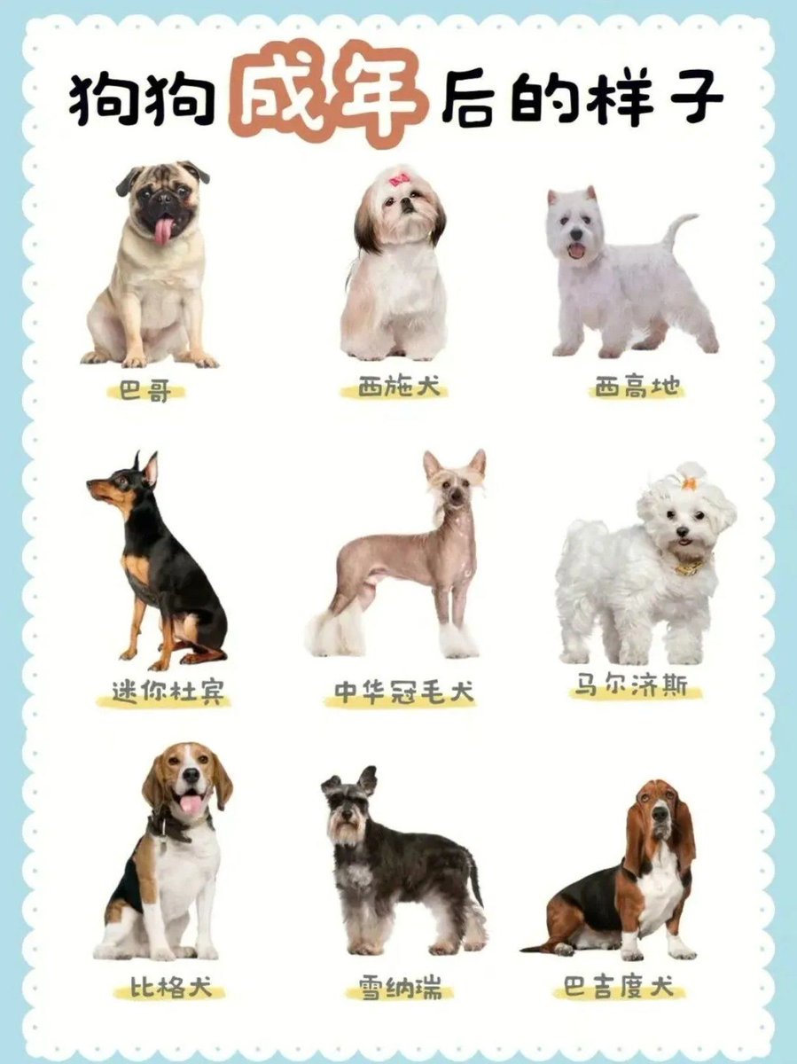 Nurul Akmar tweet media